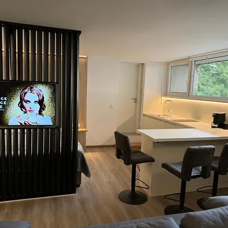 Appartments Gregorciceva شقة *