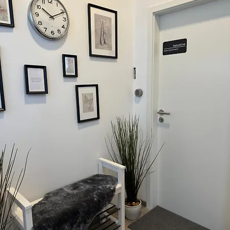 Appartments Gregorciceva *